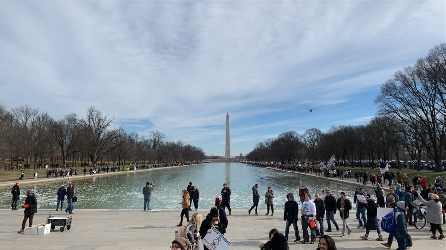 Defeat the Mandate March Washington Monument