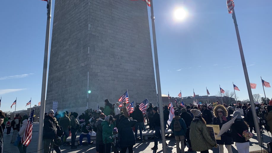Defeat the Mandate March Washington Monument