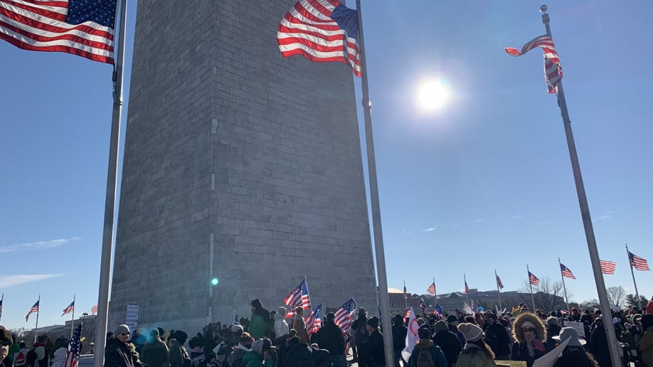 Defeat the Mandate March Washington Monument