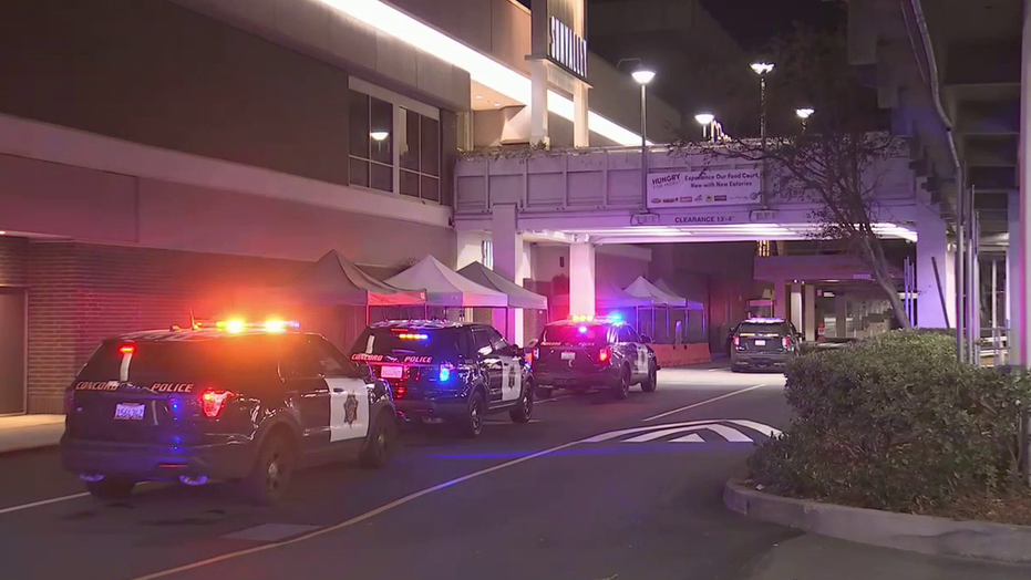 California mall customer shot trying to help robbery victim on New Year’s Eve