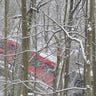 A Port Authority bus that was on a Pittsburgh's East End bridge when it collapsed is visible through trees on Friday Jan. 28, 2022.  (AP Photo/Gene J. Puskar)