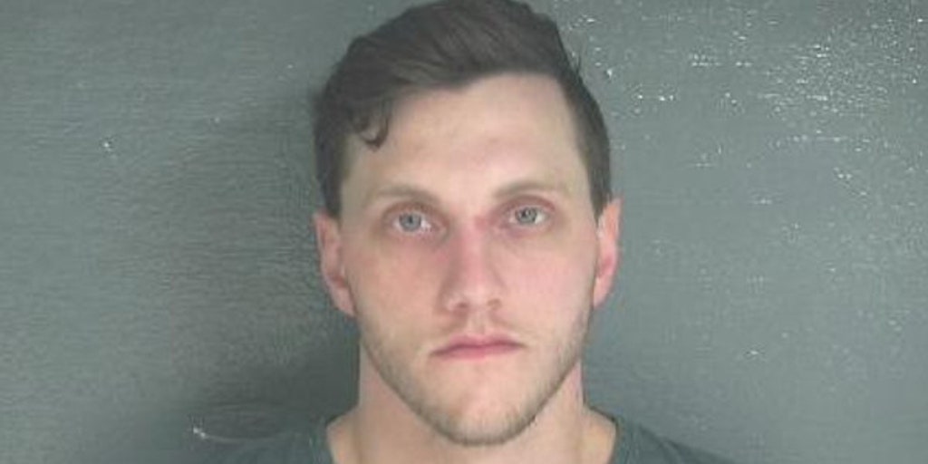 Michigan driver deliberately struck, killed retiree so he could have sex with her body, authorities say - Vimarsana News