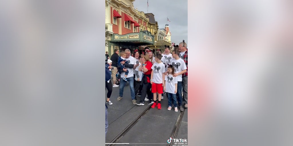 Grandmother surprised at Disney's Magic Kingdom by family for her 70th birthday - Vimarsana News