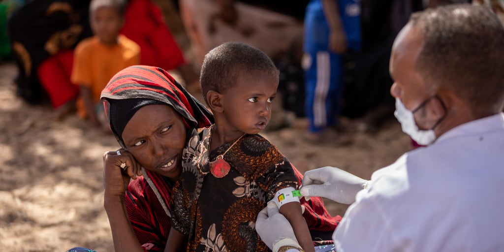 Ethiopia drought impacts millions, UNICEF appeals for additional aid to minimize child deaths - Vimarsana News