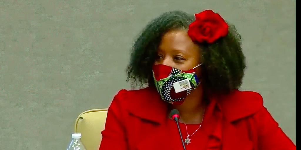 Georgia school district's promotion of CRT, officials' comments on White people prompt investigation request - Vimarsana News