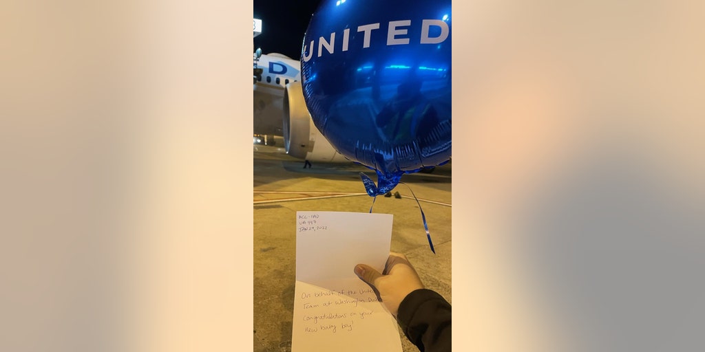Woman gives birth on 11-hour United Airlines flight - Vimarsana News