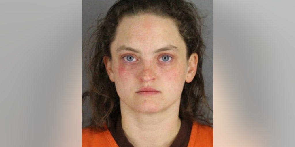 Minnesota mom gets 25 years for murdering boyfriend when she 'wanted him to stop talking' - Vimarsana News