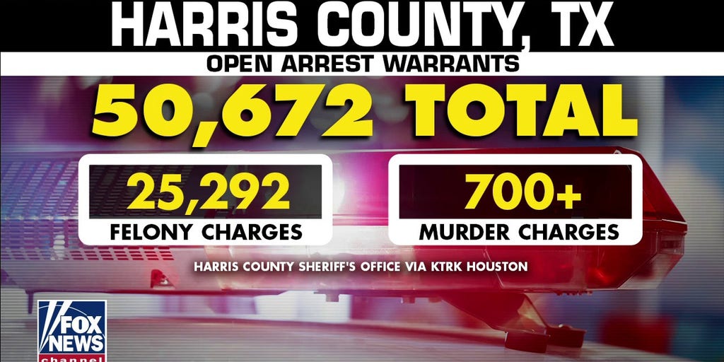 Houston police union sounds alarm on lack of manpower, slams local judges 'refusing to do their job' - Vimarsana News