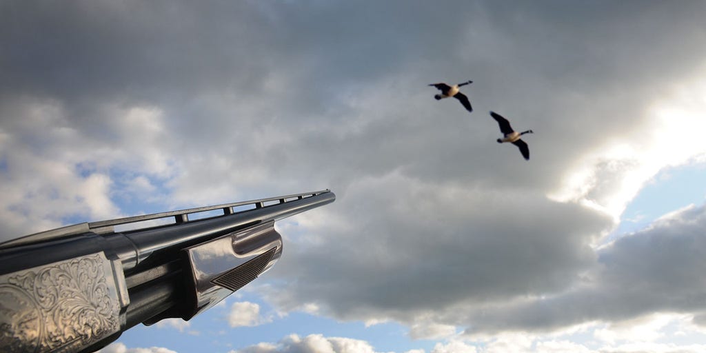 Man's hunting and fishing privileges revoked after pleading guilty to shooting geese from a Louisiana highway - Vimarsana News