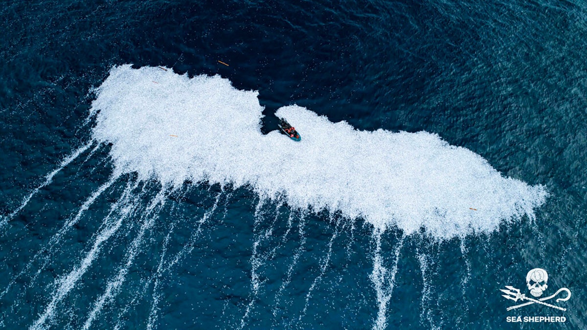 The images show swarms of fish in the Bay of Biscay off the southwest France. The reason for the dump is unclear.