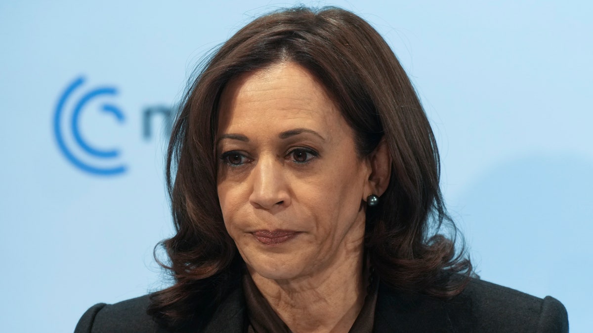 United States Vice President Kamala Harris speaks during the Munich Security Conference, in Munich, Germany, Saturday, Feb. 19, 2022.?