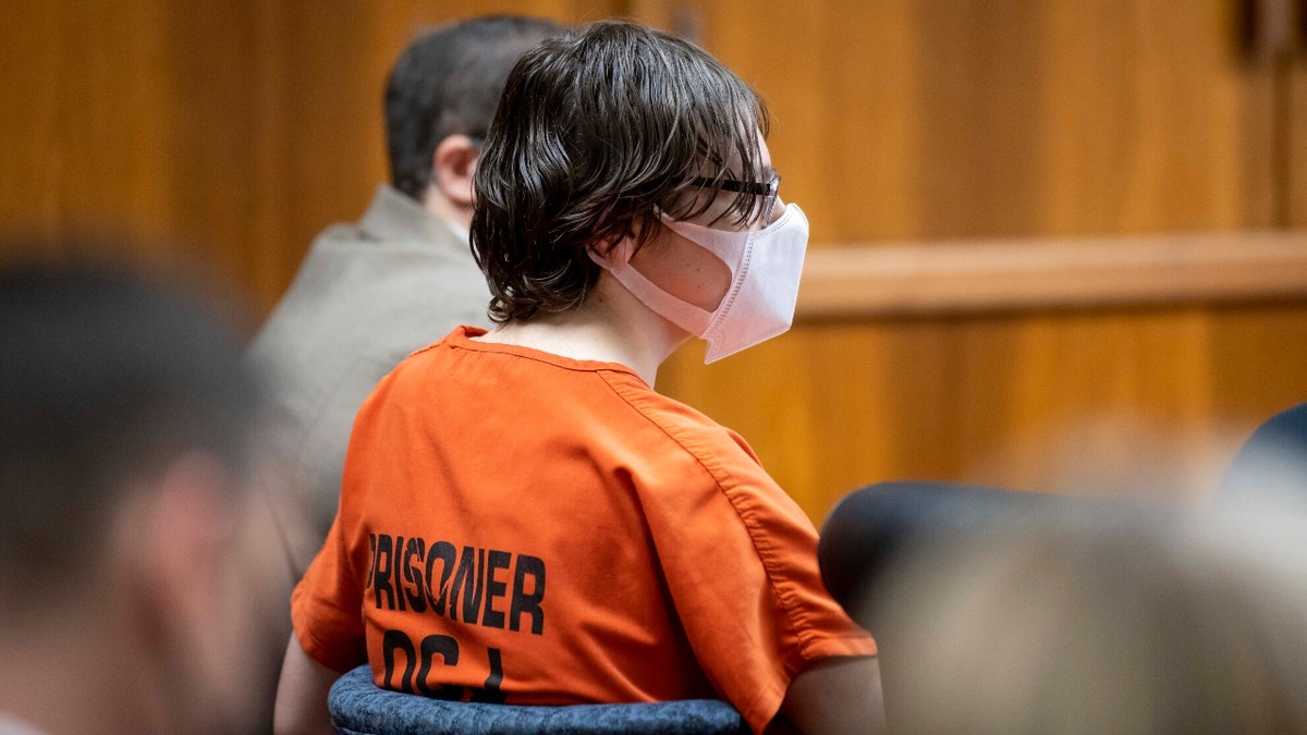 Ethan Crumbley attends a hearing at Oakland County circuit court in Pontiac