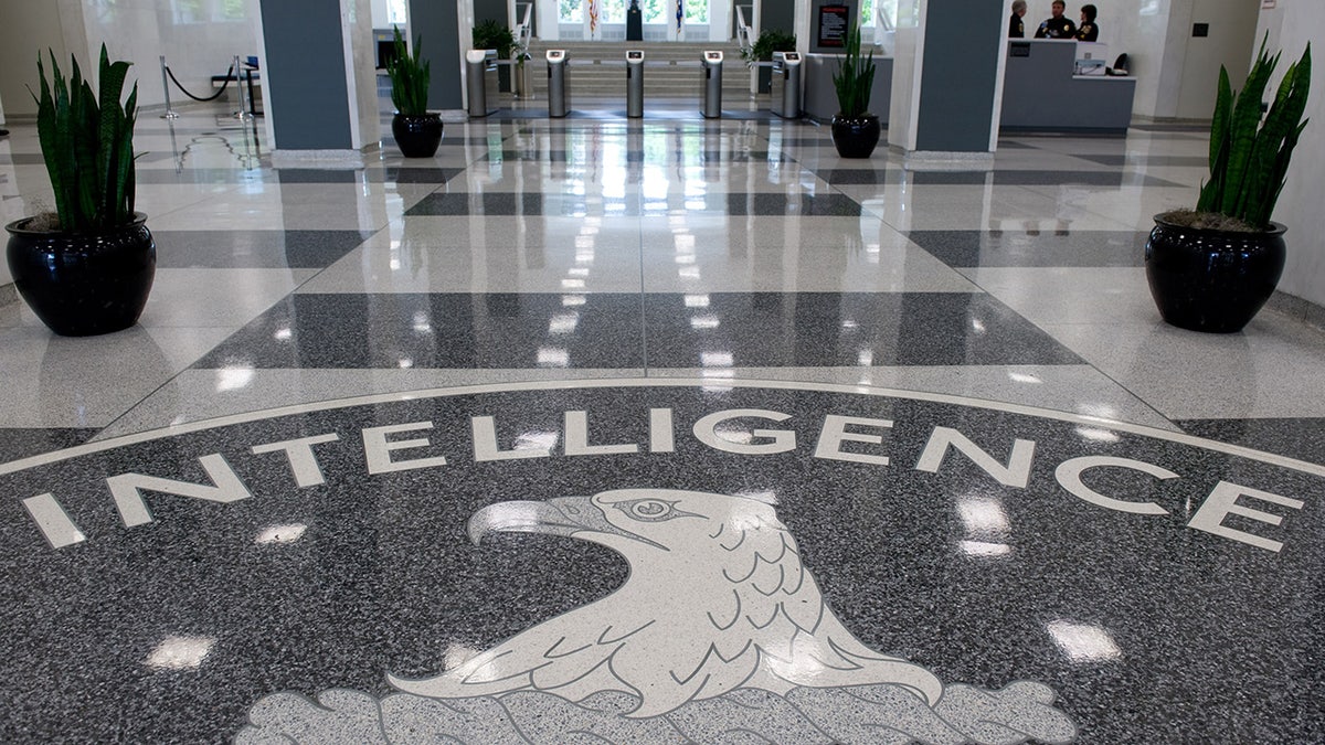 The Central Intelligence Agency 