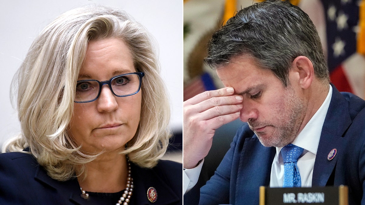 Reps. Liz Cheney and Adam Kinzinger