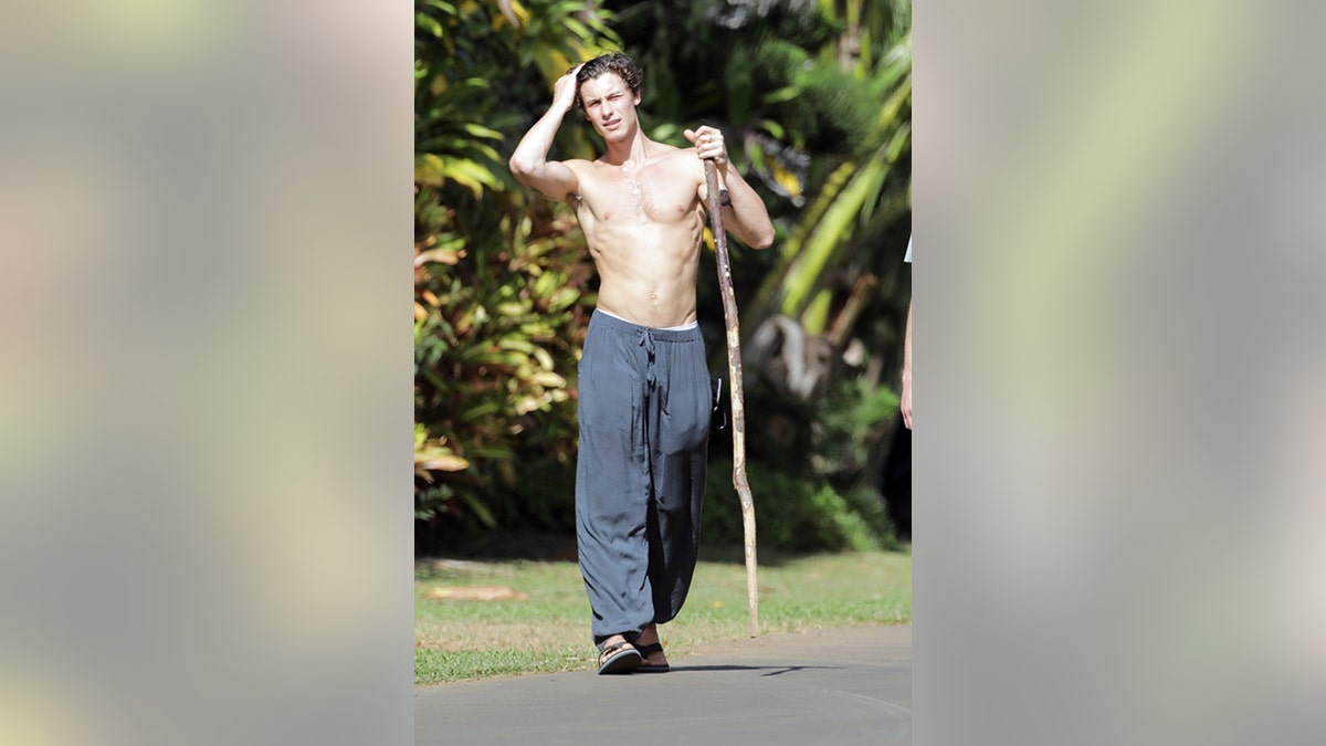 Shawn Mendes was seen enjoying a shirtless stroll in Hawaii over the weekend.