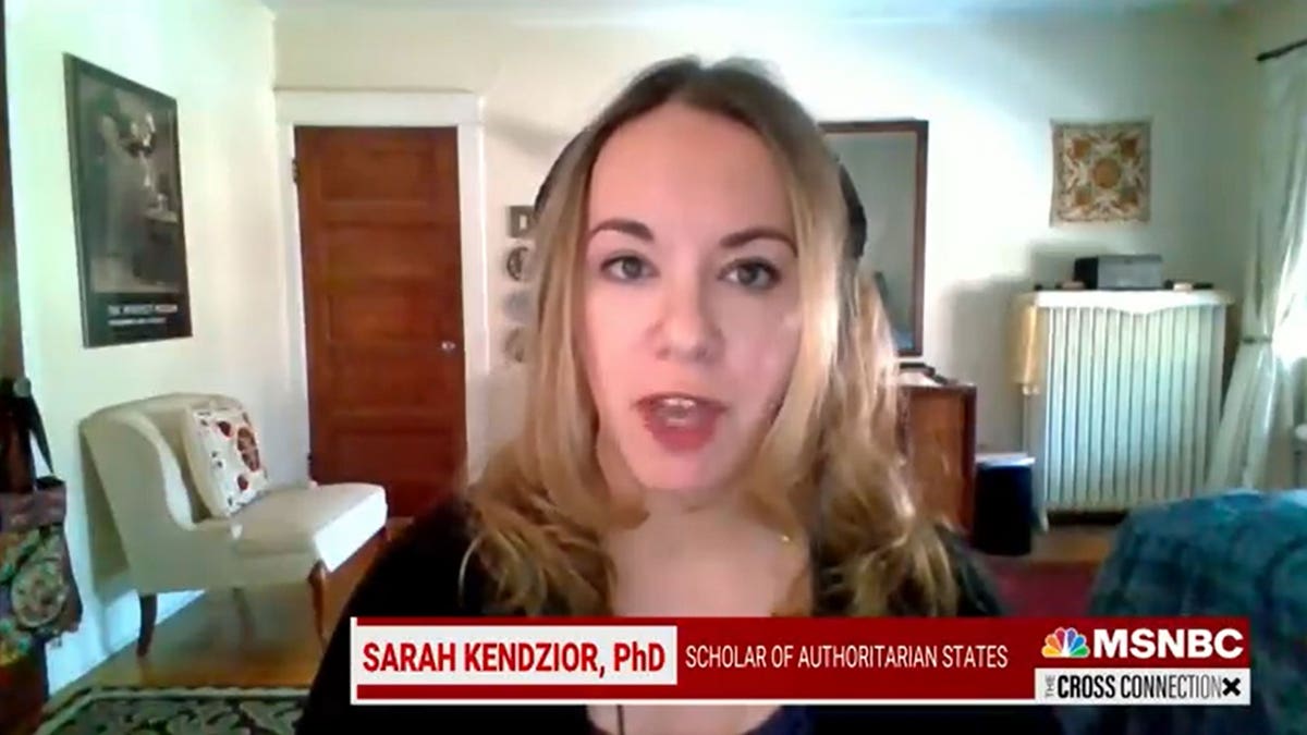 Sarah Kendzior on MSNBC