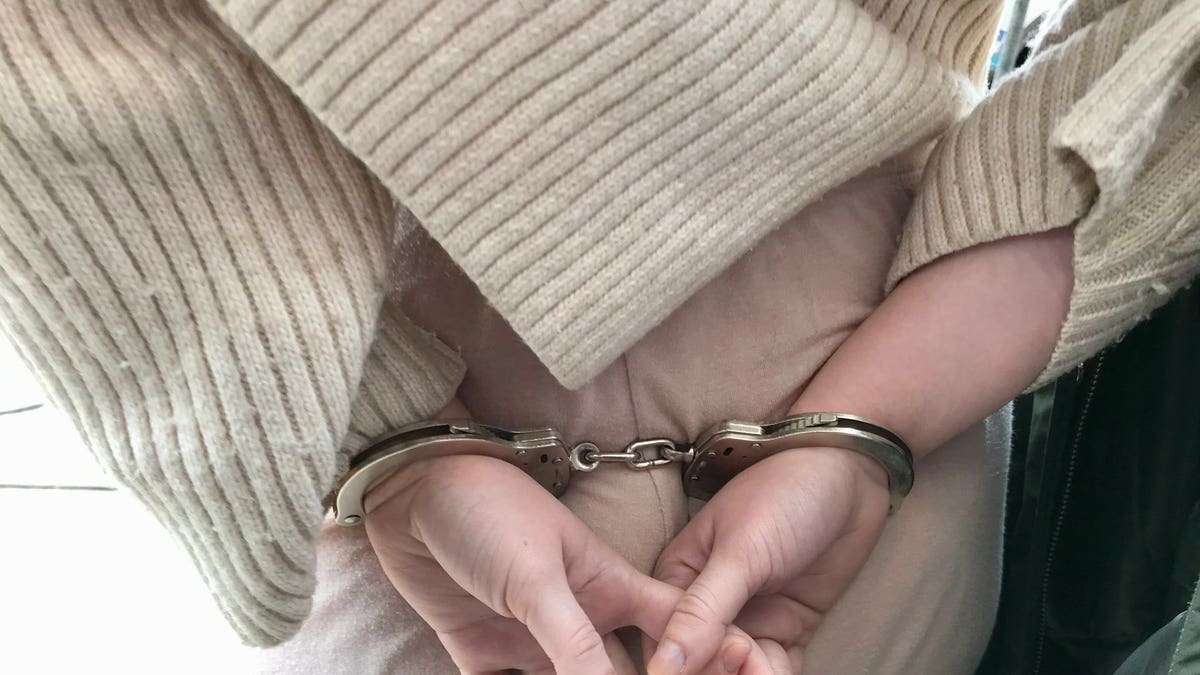 Chicago police arrested Anna Kochakian with the handcuffs of Ella French's partner, who was also severely injured during the shooting that killed her.