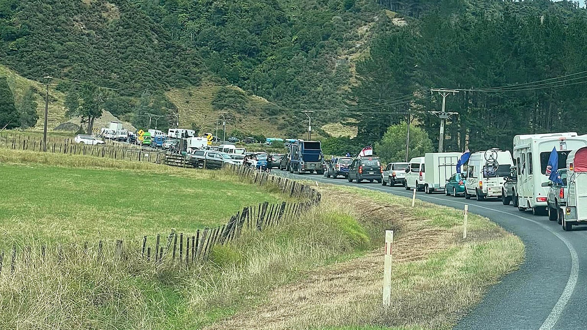 The New Zealand freedom convoy