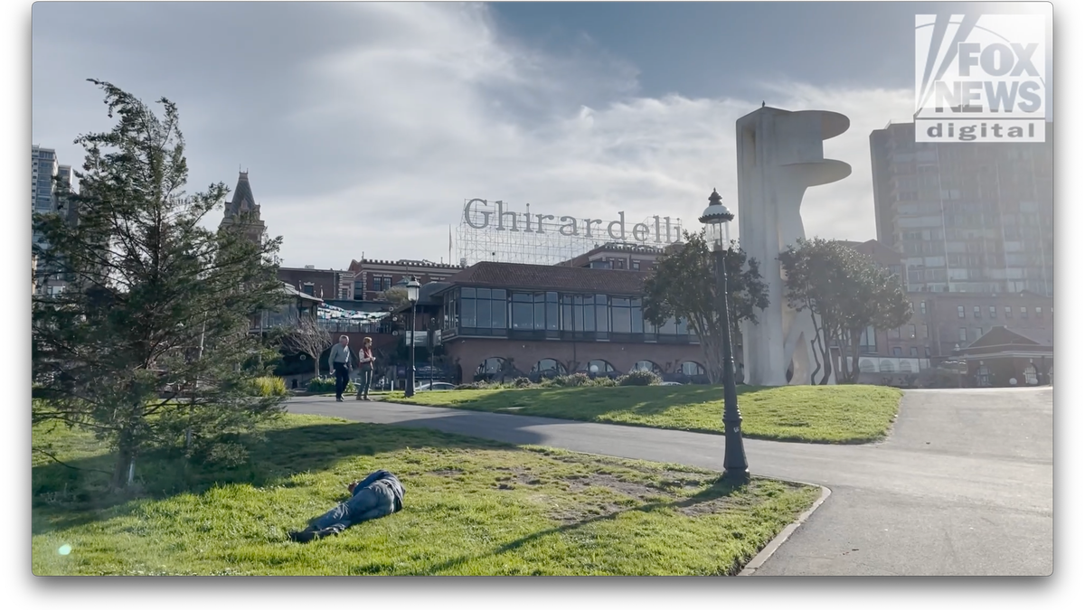 A person lays in the grass at Maritime Garden in San Francisco 