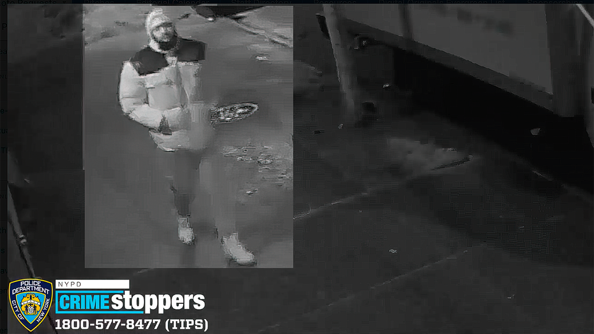 suspect in 2/4/22 assault of woman in queens