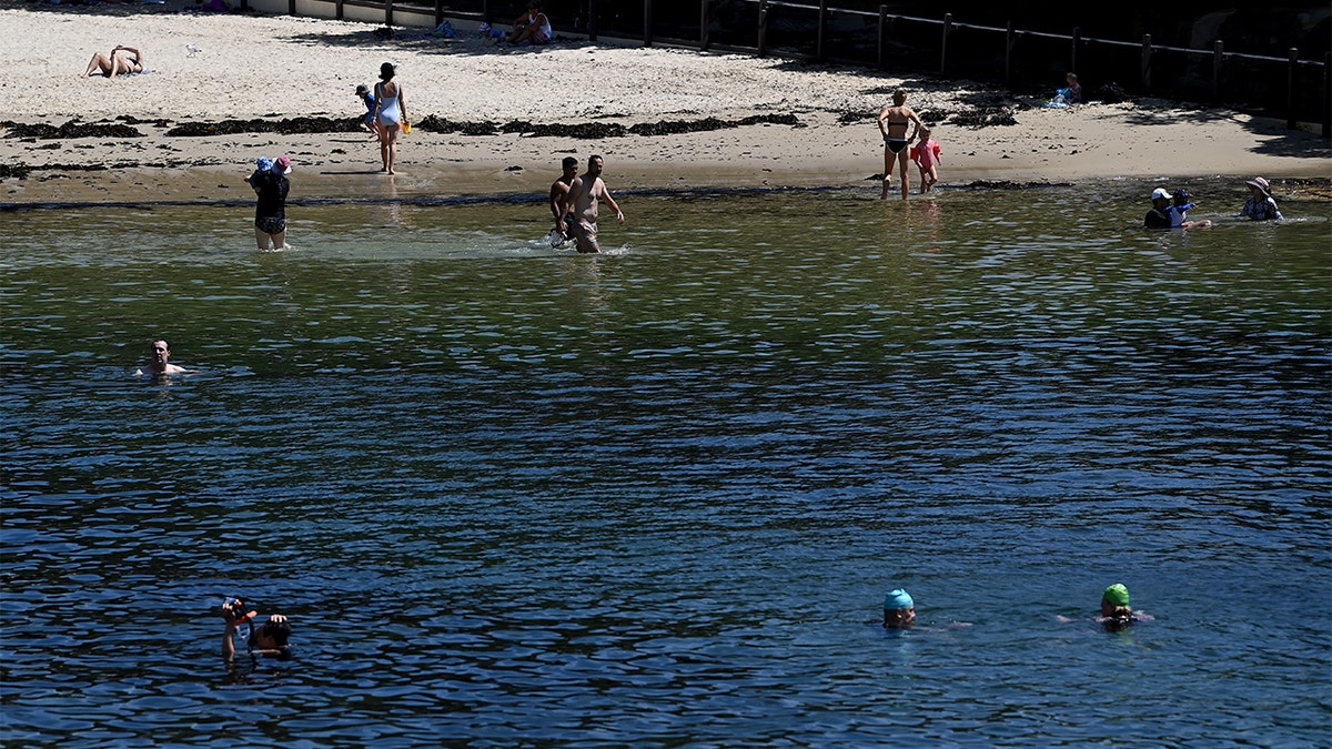 Members of the public are seen in the water at Clovelly Beach despite it being closed, in Sydney, Thursday, February 17, 2022. 