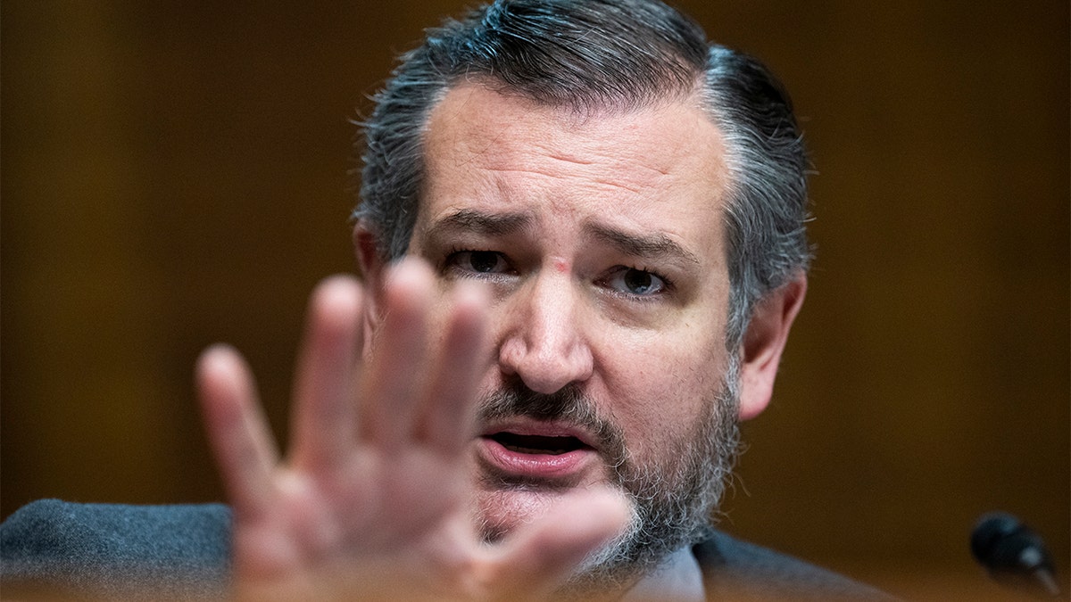 Sen. Ted Cruz, R-Texas, questions Nina Morrison during her Senate Judiciary Committee confirmation hearing in Dirksen Building on Feb. 16, 2022.