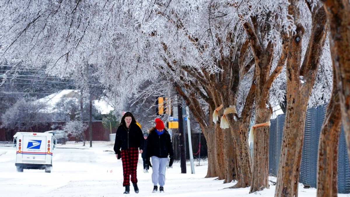 People walk on a sidewalk along a busy road where the canopies on the trees were frozen over after a winter storm that moved in overnight in Richardson, Texas, Thursday, Feb. 3, 2022.