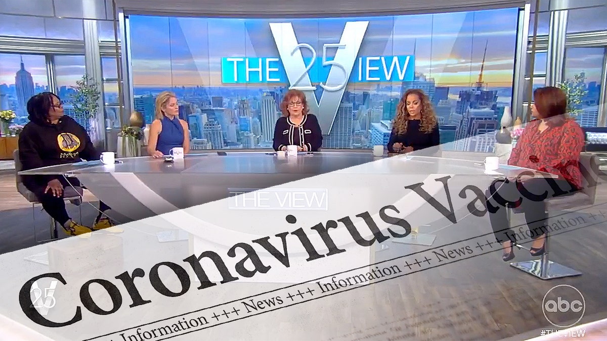 "The View" co-hosts, from left: Whoopi Goldberg, Sara Haines, Joy Behar, Sunny Hostin and Ana Navarro.