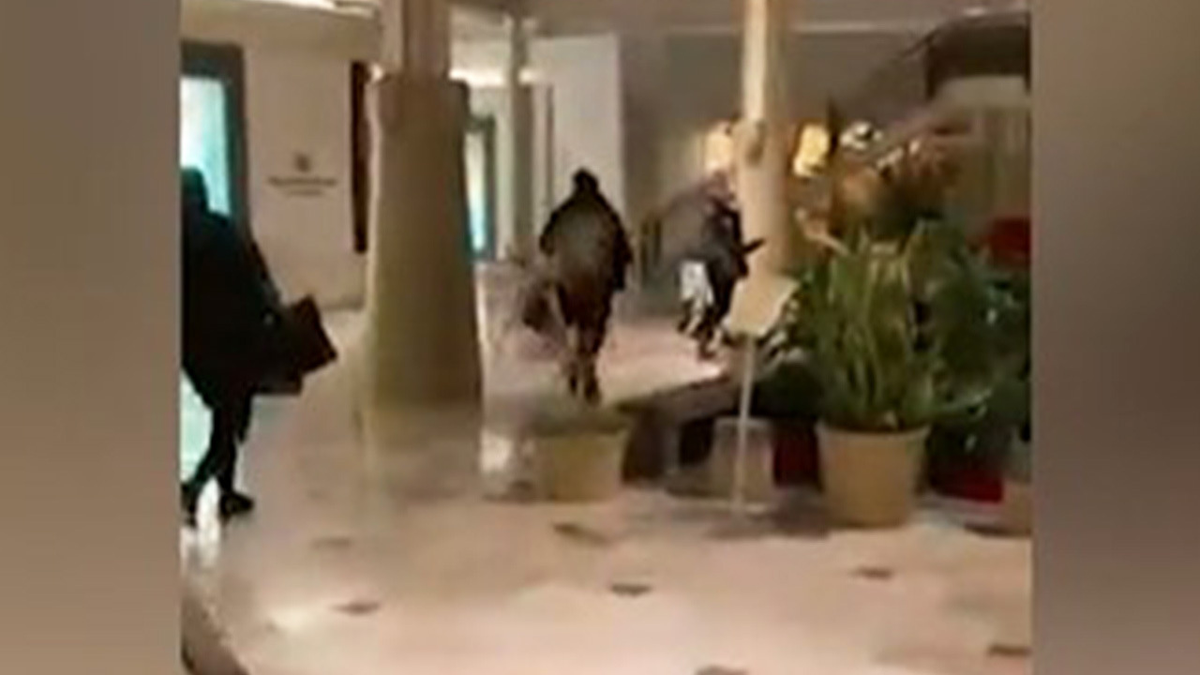 Police in Pennsylvania have released video footage of a ‘grab and run’ theft that happened at a Macy's on Wednesday night. 