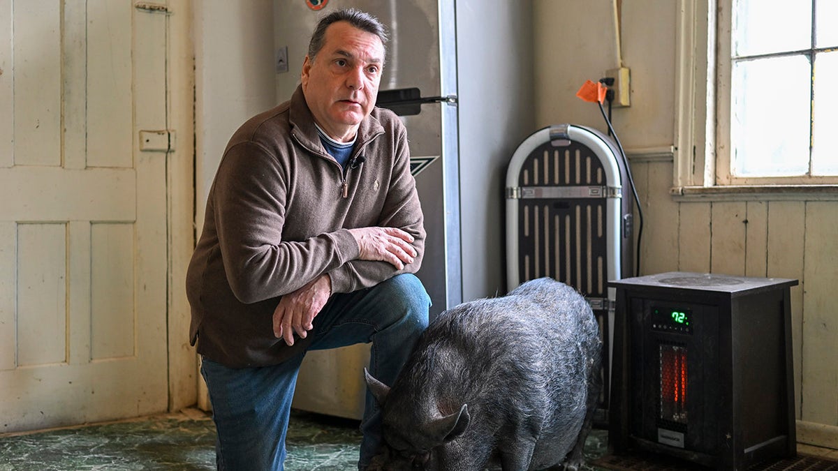 Wyverne Flatt who is fighting to keep his pot-bellied pig Ellie