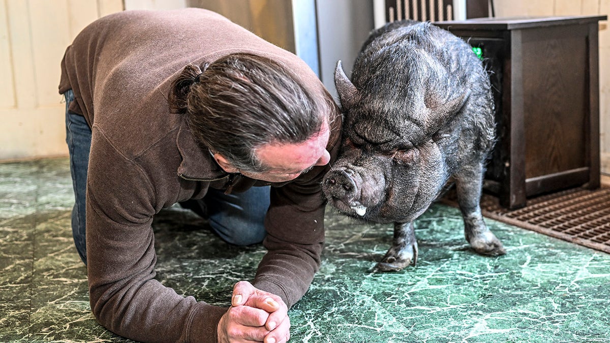 Wyverne Flatt who is fighting to keep his pot-bellied pig Ellie