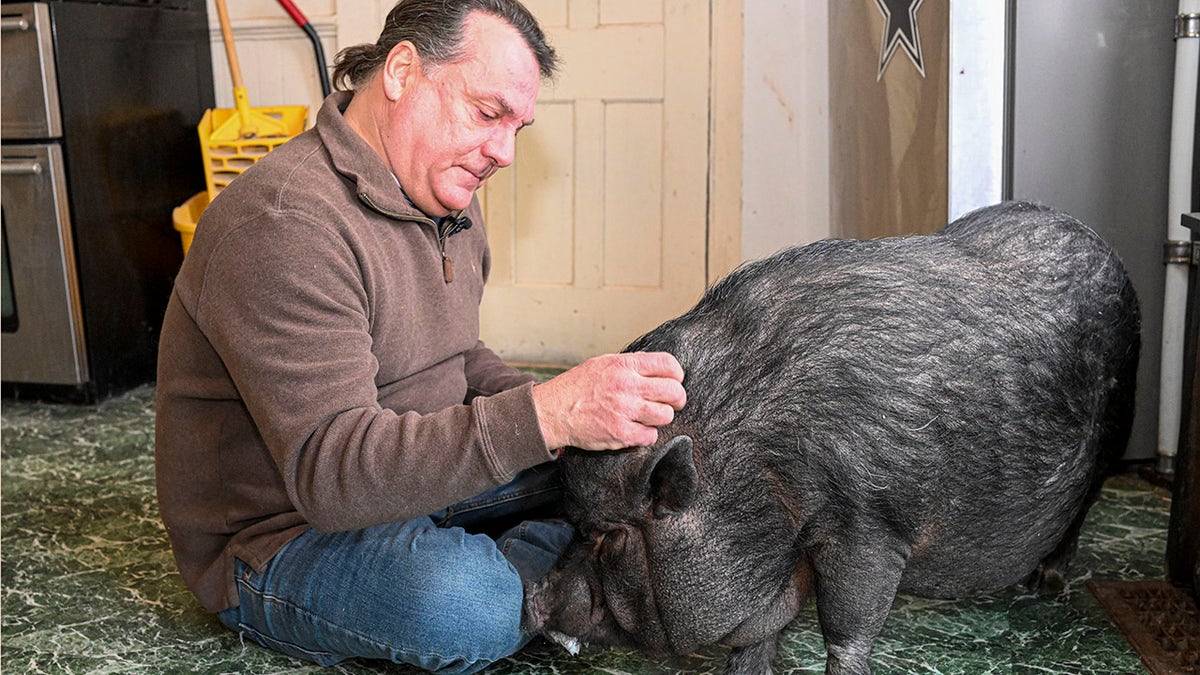 Wyverne Flatt who is fighting to keep his pot-bellied pig Ellie