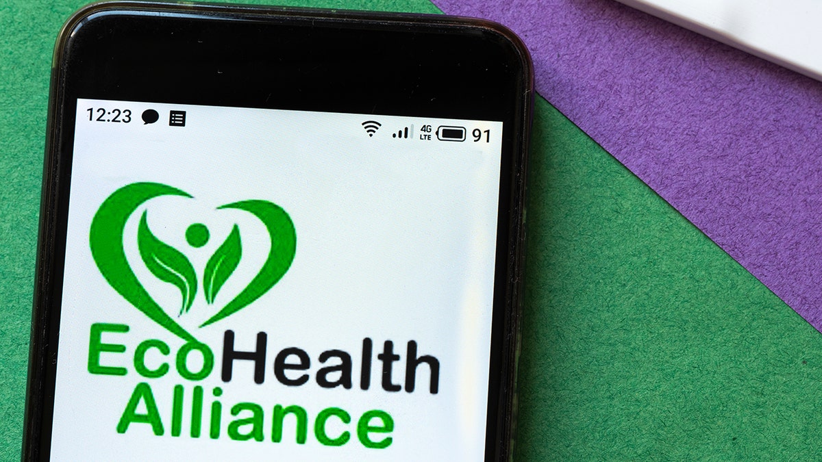 The EcoHealth Alliance logo