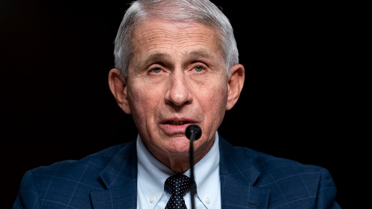 Dr. Anthony Fauci testifies on Capitol Hill last month.