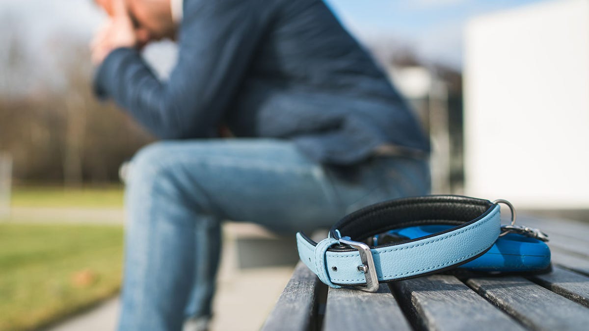 Broken with grief man dog owner is grieving sitting on a bench with the lovely pet collar and deep weeping about animal loss. Home pets relatives and love concept.