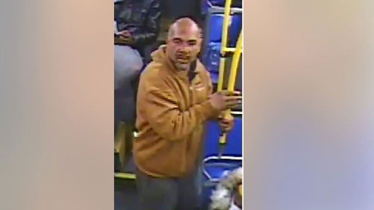 A man attacks an MTA bus driver with a tree branch