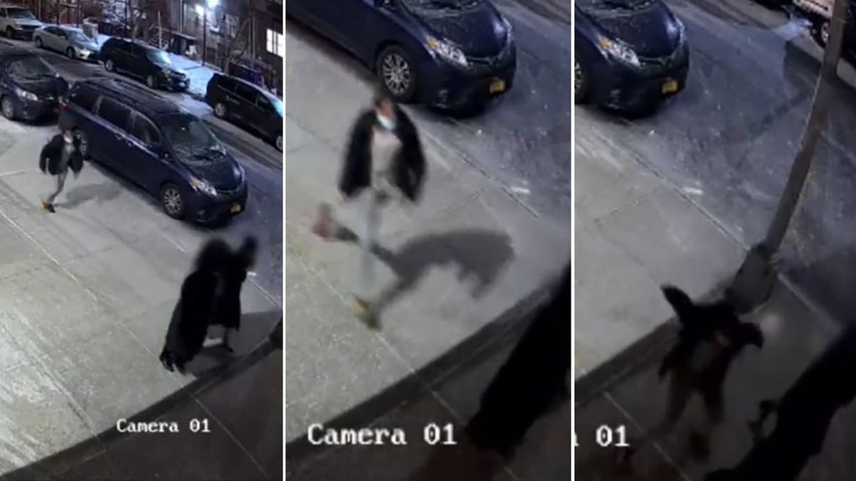 Antisemitic crimes in New York City have spiked nearly 300% in January year over year as the NYPD investigates at least two more alleged hate crimes that targeted Jewish people over the weekend. 