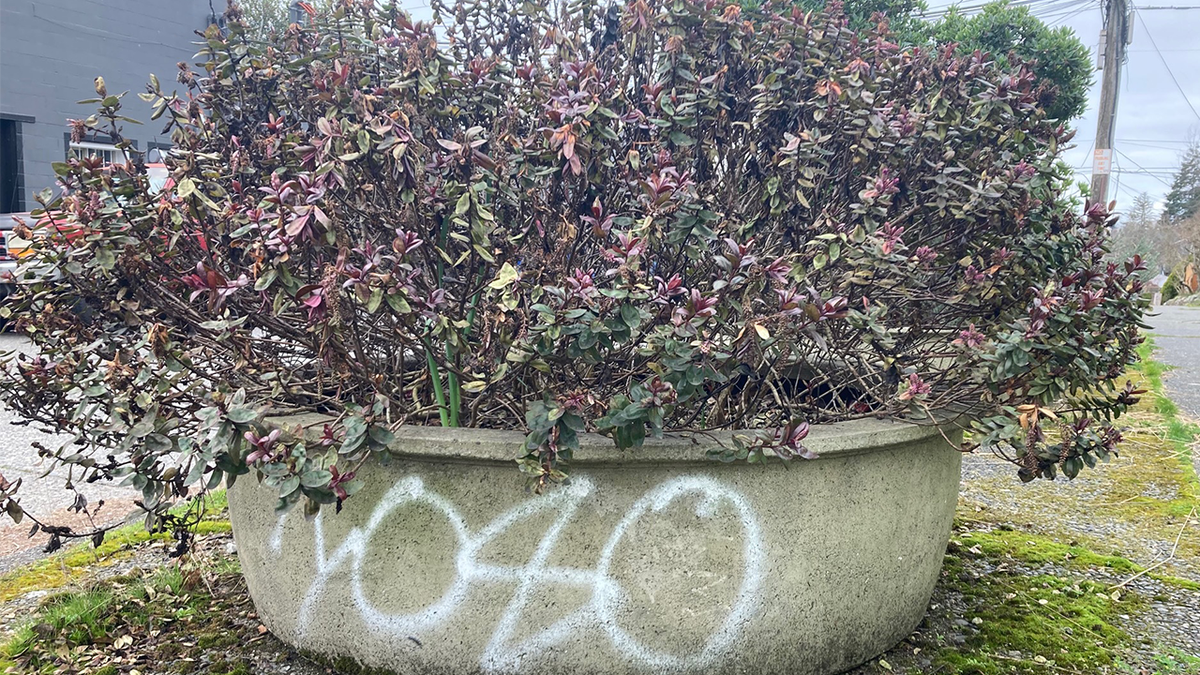 graffiti Seattle