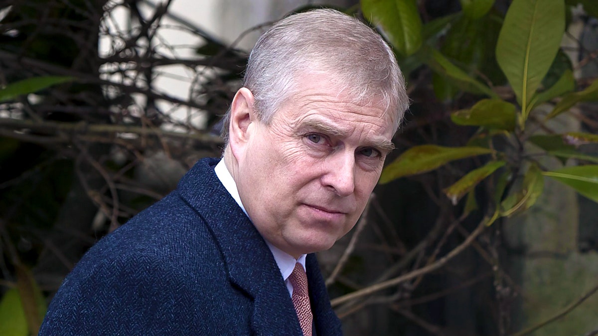 Prince Andrew looking away from the camera