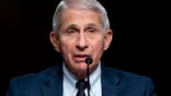 WASHINGTON, DC - JANUARY 11: Dr. Anthony Fauci, White House Chief Medical Advisor and Director of the NIAID, testifies at a Senate Health, Education, Labor, and Pensions Committee hearing on Capitol Hill on January 11, 2022 in Washington, D.C. The committee will hear testimony about the federal response to COVID-19 and new, emerging variants. (Photo by Greg Nash-Pool/Getty Images)