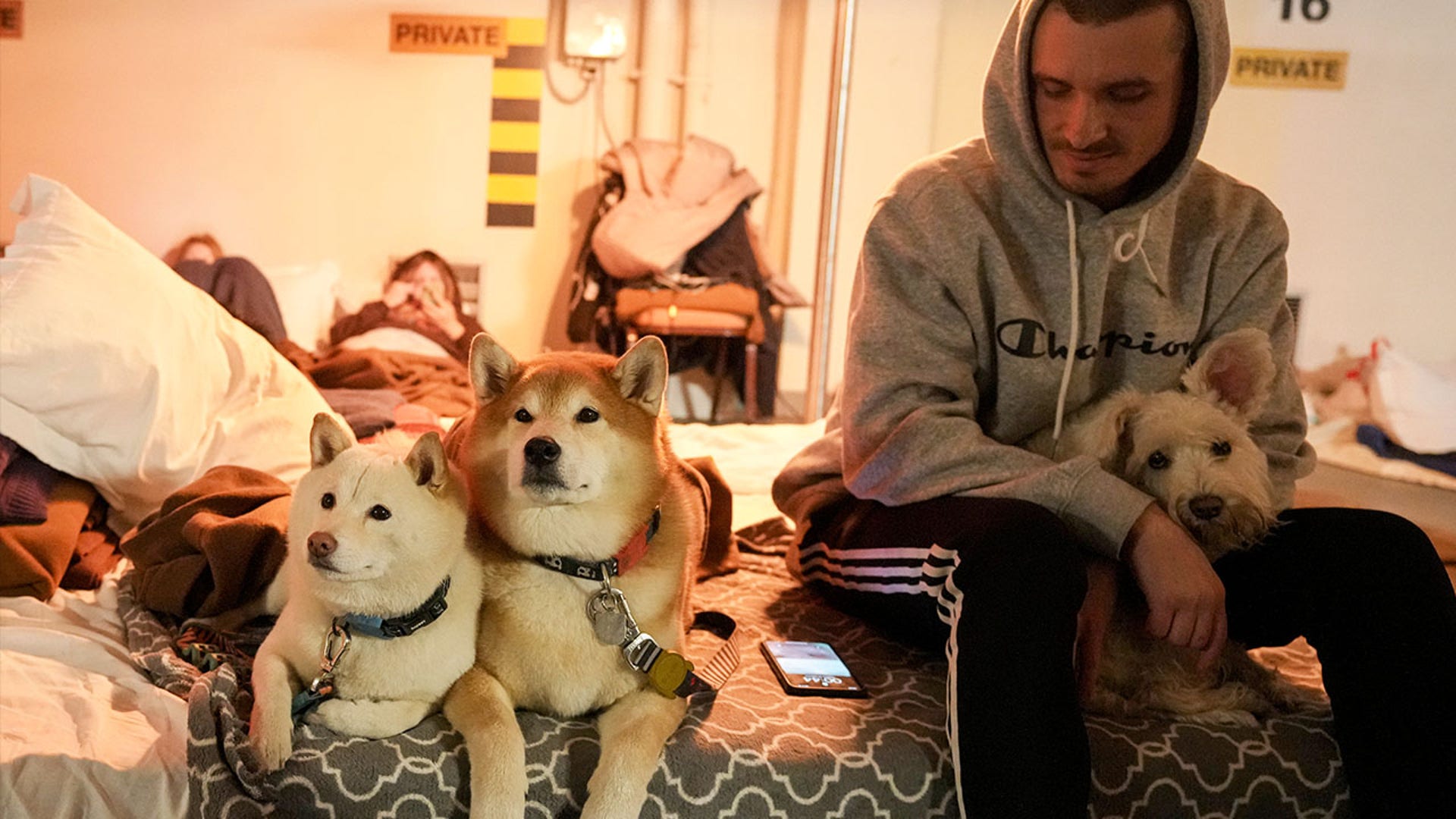 A man sits next to his dogs on mattress in a hotel underground parking turned into a bomb shelter during an air raid alert in Kyiv, Ukraine, Sunday, Feb. 27, 2022. Terrified men, women and children sought safety inside and underground, and the government maintained a 39-hour curfew to keep people off the streets as more than 150,000 Ukrainians fled to neighboring countries and the United Nations warned the number could grow to 4 million if fighting escalates.
