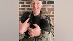 New Hampshire homeowner finds bear den, abandoned cubs while clearing brush off property