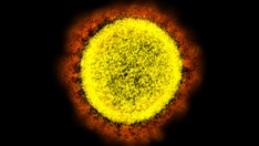 BA.2: What experts are saying about the omicron sub-variant