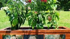 Alabama man arrested after placing flowers at his fiancée’s grave