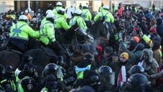 Ontario police watchdog opens investigation into woman reportedly trampled by mounted officer