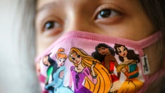 Pennsylvania judge boots 5 Dems from school board over mask mandate