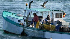 Maine examines $30 million annual fund for lobster fishermen affected by new whale rules