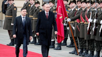 Turkey steps up Ukraine support as Germany remains distant