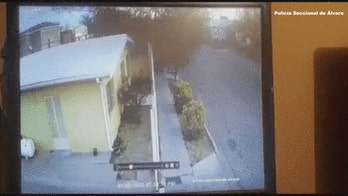 Viral video showing birds crashing into ground in Mexico stirs theories