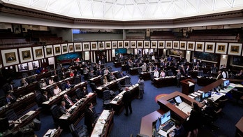 Florida House passes 15-week abortion ban, advances to Senate